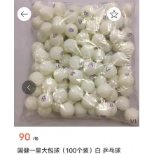 國健乒乓球